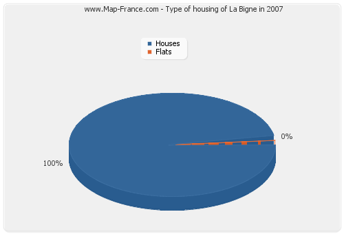 Type of housing of La Bigne in 2007